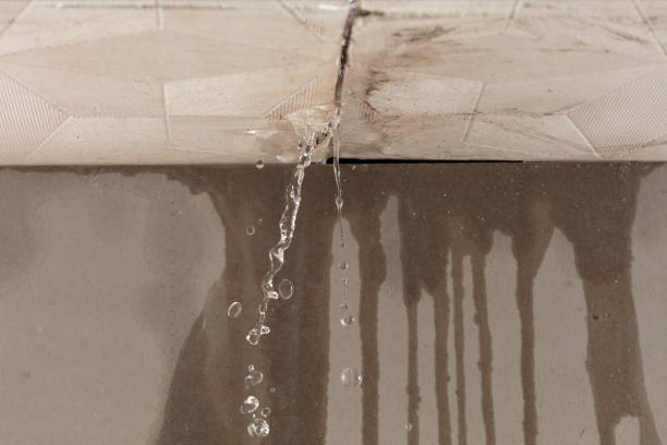 Professional Structural Drying technician working in Manorville, NY